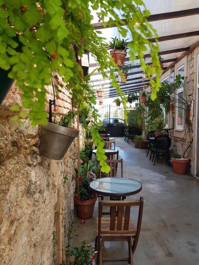 Garden Place Alojamento Local Viseu Exteriér fotografie